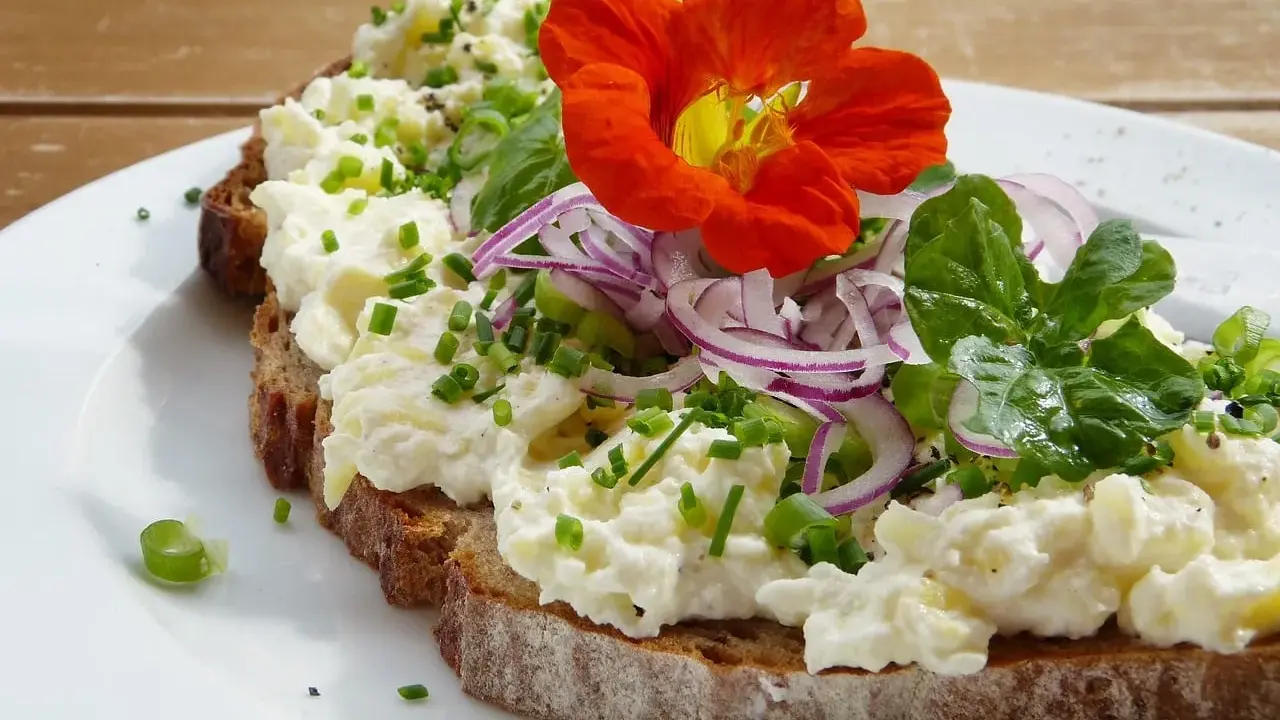 Tartine de pain noir garnie de fromage frais, oignons rouges, ciboulette et une fleur comestible orange vif.