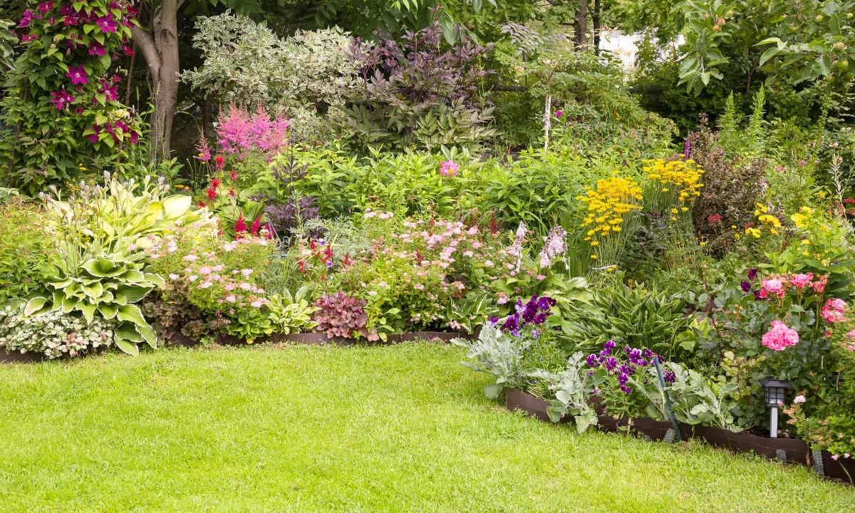 Un parterre de fleurs vivaces luxuriant, plein de couleurs vives et de textures variées. Une belle idée pour un jardin.