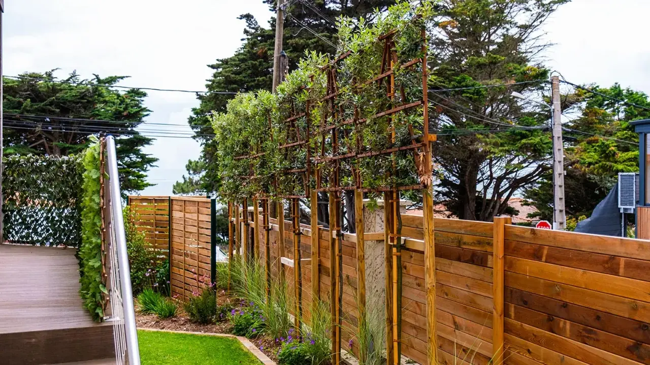 Une rangée de plantes brise vue palissées sur des structures métalliques, bordant une clôture en bois et un escalier.