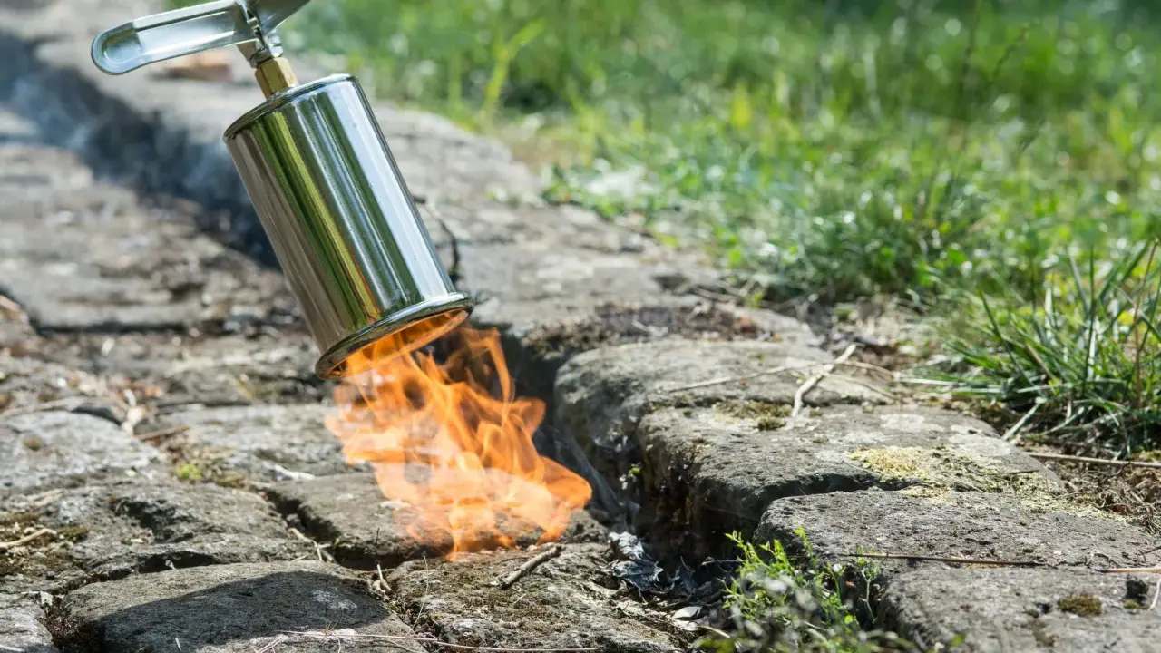 Un chalumeau brûle les mauvaises herbes entre les pavés pour empêcher leur pousse. La flamme orange vif illumine la scène.