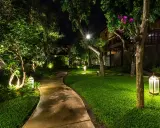 Un chemin sinueux traverse un jardin luxuriant illuminé par des lumières LED, créant une ambiance magique. La couleur LED met en valeur la végétation et l'architecture.