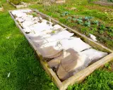Un carré potager utilise du carton pour couvrir le sol, une astuce pour savoir que mettre au sol pour éviter les mauvaises herbes.