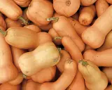 Un tas de courges butternut, certaines allongées, d'autres plus rondes, prêtes à être cuisinées.