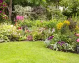 Un parterre de fleurs vivaces luxuriant, plein de couleurs vives et de textures variées. Une belle idée pour un jardin.