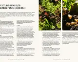 Des courgettes poussent dans un potager, limitant les mauvaises herbes. Le texte donne des conseils pour débuter au jardin.