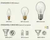 Comparaison des tailles d'ampoules : E14 (petit), E27 (standard) et E40 (industriel). Illustration des standards à vis et à broches.