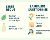 L'idée reçue : l'acide acétique désherbant est une solution naturelle et économique. La réalité questionnée : est-ce vraiment sans risque et légal ?