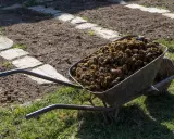 Brouette remplie de fumier de cheval, prête à fertiliser le potager. Le chemin de dalles de pierre serpente dans la terre labourée.