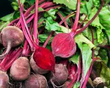Un tas de betteraves fraîches, certaines coupées pour révéler leur chair rouge vif. Idéal pour planter et cultiver de nouvelles betteraves.