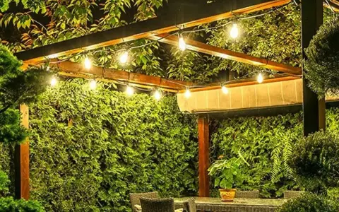 Guirlande lumineuse sous une pergola en bois, créant une ambiance chaleureuse. Le lux défini par ces ampoules éclaire un jardin luxuriant.