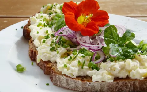 Tartine de pain noir garnie de fromage frais, oignons rouges, ciboulette et une fleur comestible orange vif.