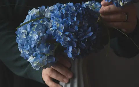 Un bouquet d'hortensias bleus est placé dans un vase gris. Les mains ajustent délicatement les fleurs, comme si elles préparaient la terre pour hortensia.