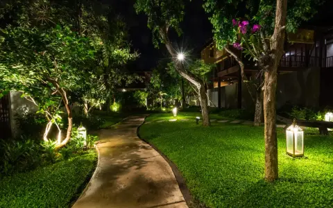 Chemin sinueux éclairé par des lampes de jardin, créant une ambiance chaleureuse. Une ampoule kelvin illumine un arbre fleuri.