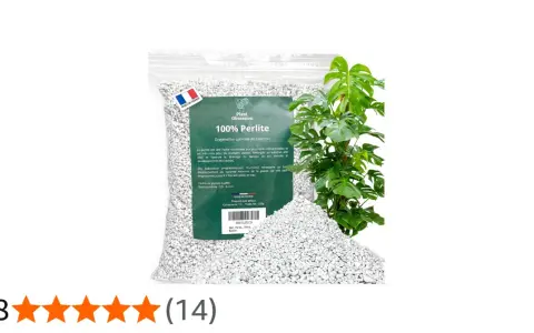 Un sac de perlite pour plante, idéal pour l'oxygénation et le drainage du substrat. Parfait pour le développement des racines.
