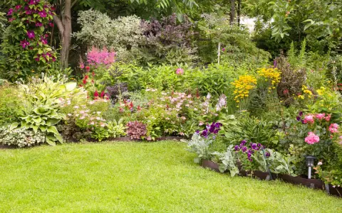 Un parterre de fleurs vivaces luxuriant, plein de couleurs vives et de textures variées. Une belle idée pour un jardin.
