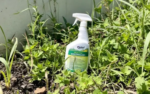Bouteille de désherbant sélectif gazon au milieu de la végétation.