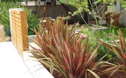 Plantes de lin de Nouvelle-Zélande aux feuilles rouges et vertes, près d'un mur en bois moderne.