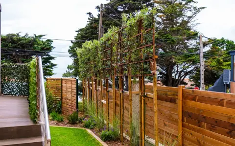 Une rangée de plantes brise vue palissées sur des structures métalliques, bordant une clôture en bois et un escalier.