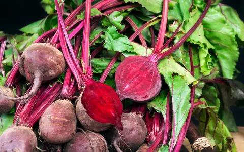 Un tas de betteraves fraîches, certaines coupées pour révéler leur chair rouge vif. Idéal pour planter et cultiver de nouvelles betteraves.