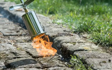 Un chalumeau brûle les mauvaises herbes entre les pavés pour empêcher leur pousse. La flamme orange vif illumine la scène.