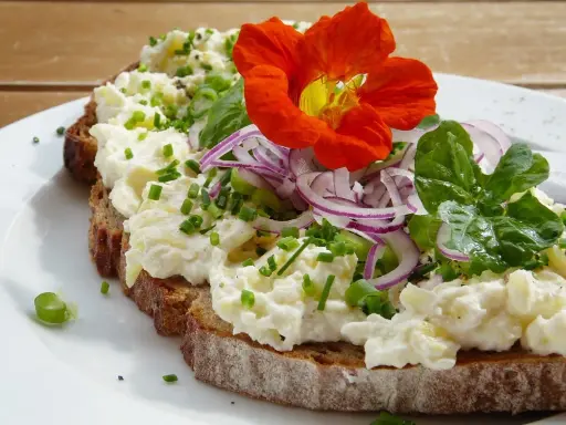 Tartine de pain noir garnie de fromage frais, oignons rouges, ciboulette et une fleur comestible orange vif.