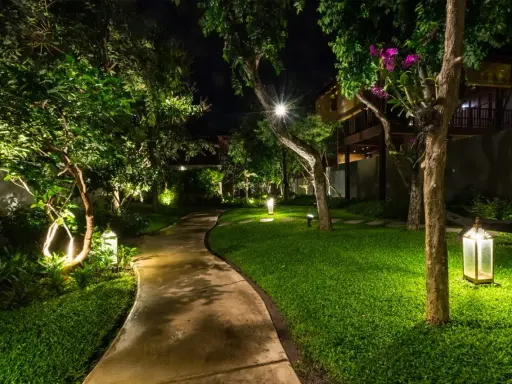 Chemin sinueux éclairé par des lampes de jardin, créant une ambiance chaleureuse. Une ampoule kelvin illumine un arbre fleuri.