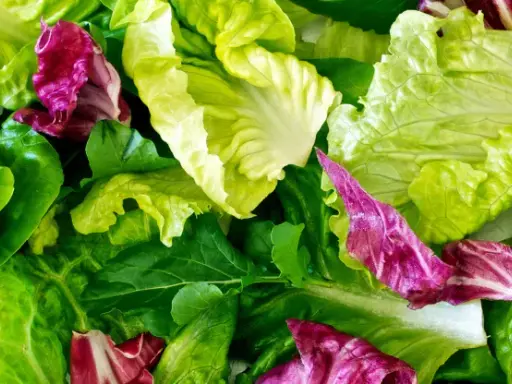 Un assortiment coloré de feuilles de laitue et de radicchio, prêt pour une salade à couper.