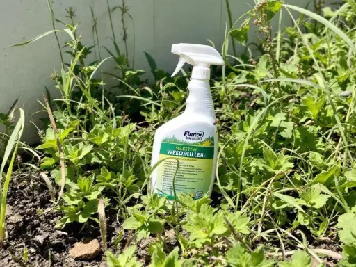 Bouteille de désherbant sélectif gazon au milieu de la végétation.