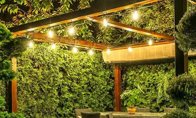Guirlande lumineuse sous une pergola en bois, créant une ambiance chaleureuse. Le lux défini par ces ampoules éclaire un jardin luxuriant.