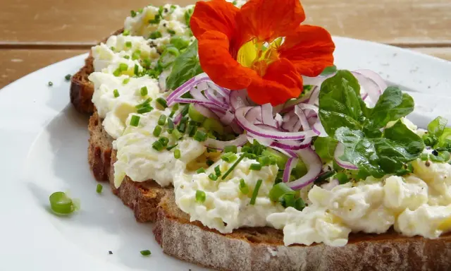 Tartine de pain noir garnie de fromage frais, oignons rouges, ciboulette et une fleur comestible orange vif.