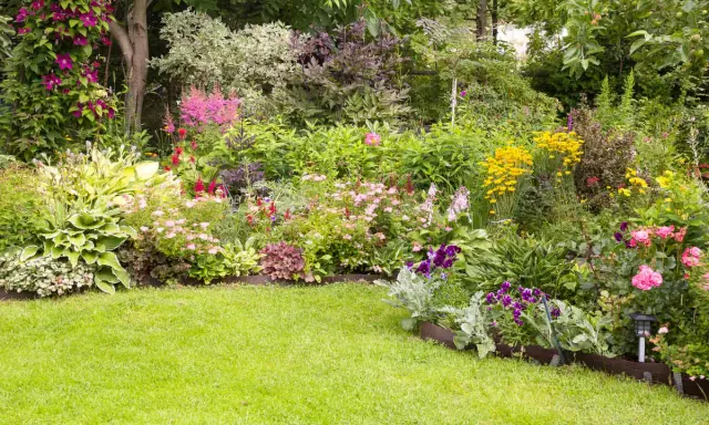 Un parterre de fleurs vivaces luxuriant, plein de couleurs vives et de textures variées. Une belle idée pour un jardin.