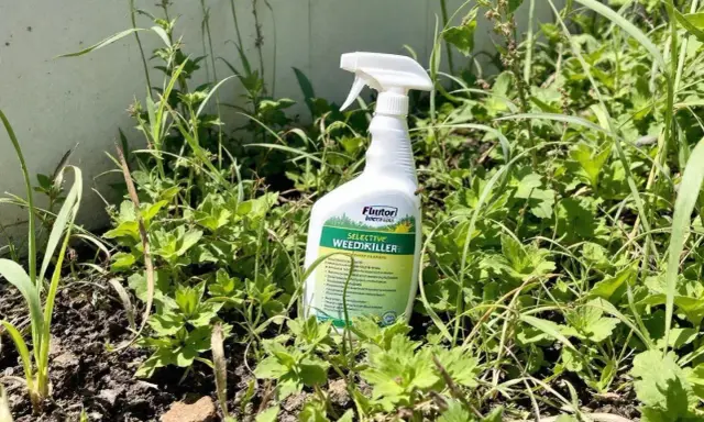 Bouteille de désherbant sélectif gazon au milieu de la végétation.