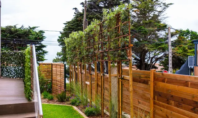 Une rangée de plantes brise vue palissées sur des structures métalliques, bordant une clôture en bois et un escalier.