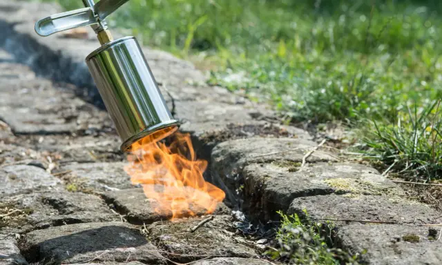 Un chalumeau brûle les mauvaises herbes entre les pavés pour empêcher leur pousse. La flamme orange vif illumine la scène.