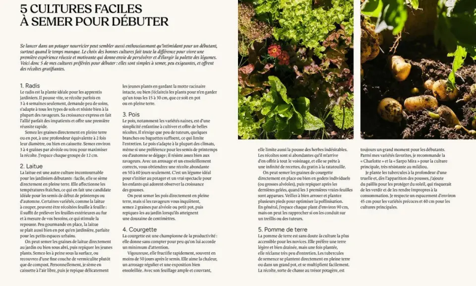 Des courgettes poussent dans un potager, limitant les mauvaises herbes. Le texte donne des conseils pour débuter au jardin.