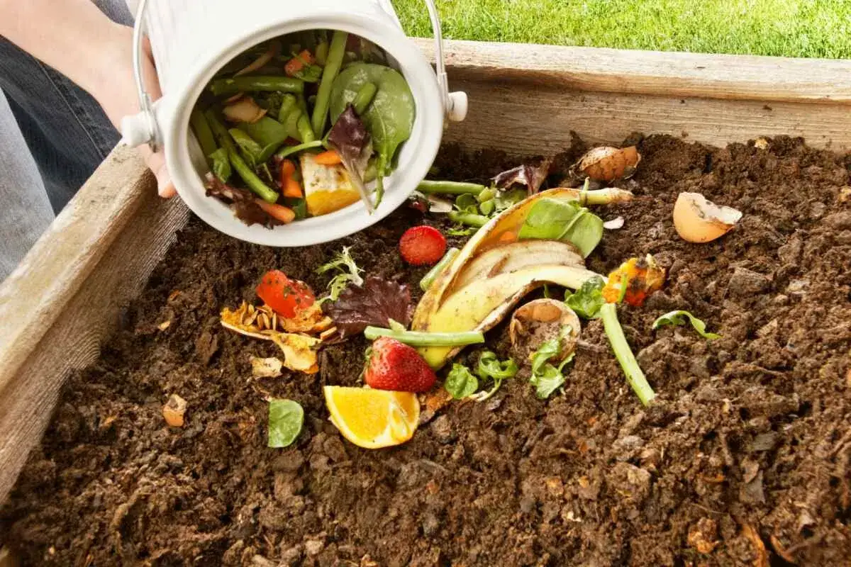 Des restes de fruits et légumes sont ajoutés à un composteur maison.