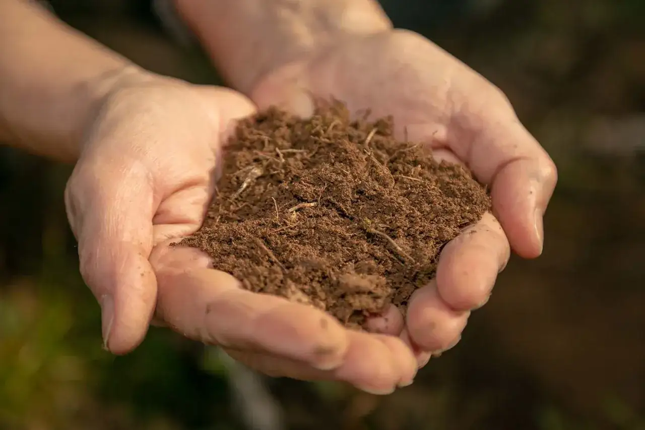 Mains tenant une poign&eacute;e de terre riche, promesse d'un engrais naturel pour un jardin florissant.