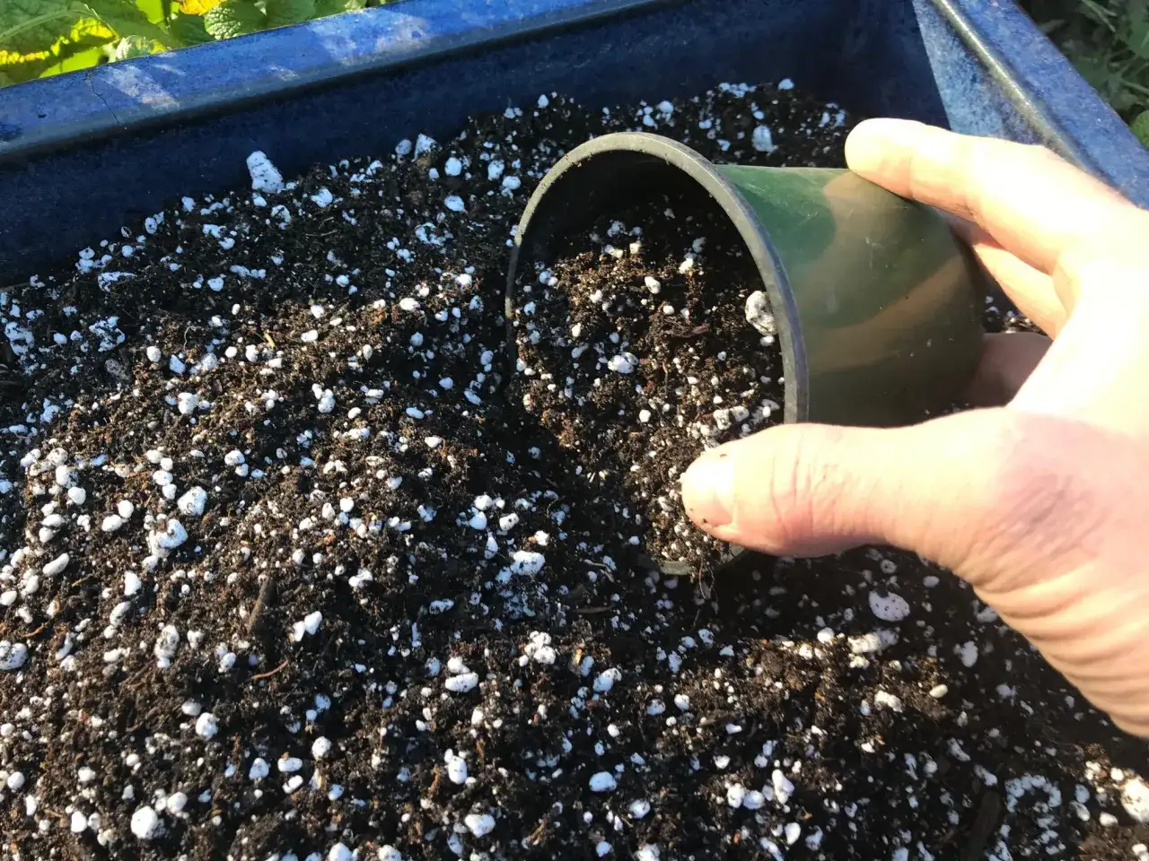 Main d'une personne tenant un pot vert au-dessus d'un terreau riche en perlite pour plante.