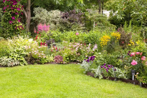 Un parterre de fleurs vivaces luxuriant, plein de couleurs vives et de textures variées. Une belle idée pour un jardin.