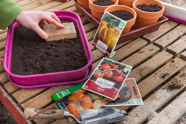 Préparation des semis de tomates. Une main tasse la terre dans un bac rose, entourée de sachets de graines et de petits pots.