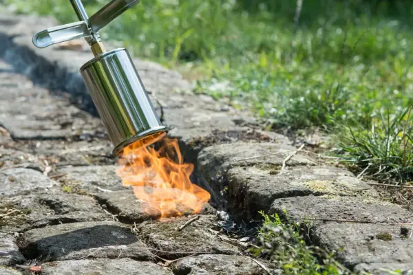 Un chalumeau brûle les mauvaises herbes entre les pavés pour empêcher leur pousse. La flamme orange vif illumine la scène.