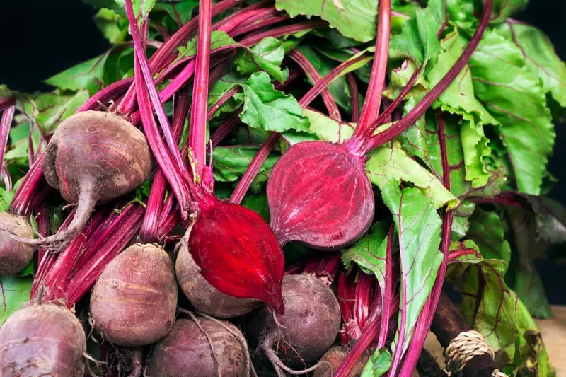Un tas de betteraves fraîches, certaines coupées pour révéler leur chair rouge vif. Idéal pour planter et cultiver de nouvelles betteraves.